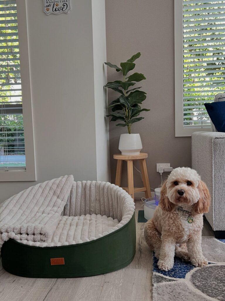 Side view of hooded diy dog bed pattern with fold down flap