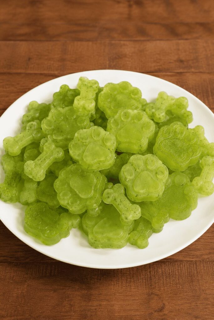 Cucumber coconut water frozen dog treats in bone and paw shapes