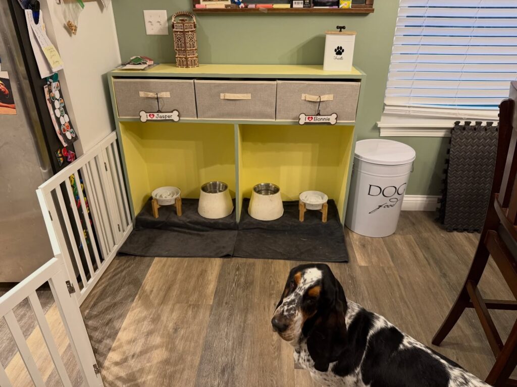 DIY console table dog bowl stand with labeled storage bins