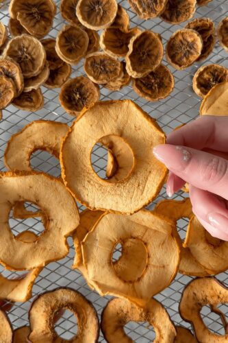Dehydrated dog treats homemade with apple and banana slices