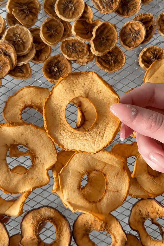Dehydrated dog treats homemade with apple and banana slices