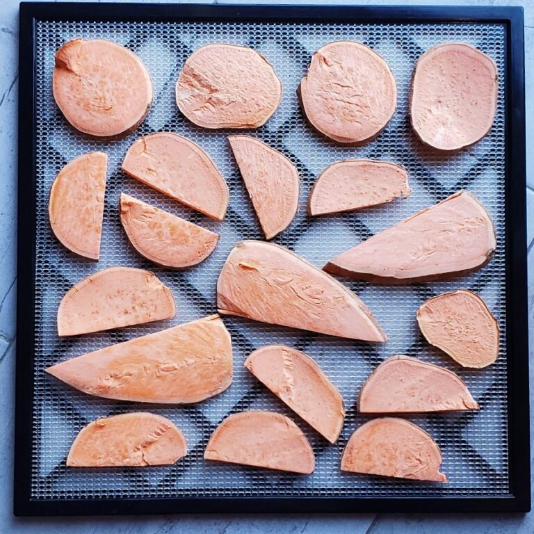 Dehydrated sweet potato 2-Ingredient Dog Treats chewy slices on tray