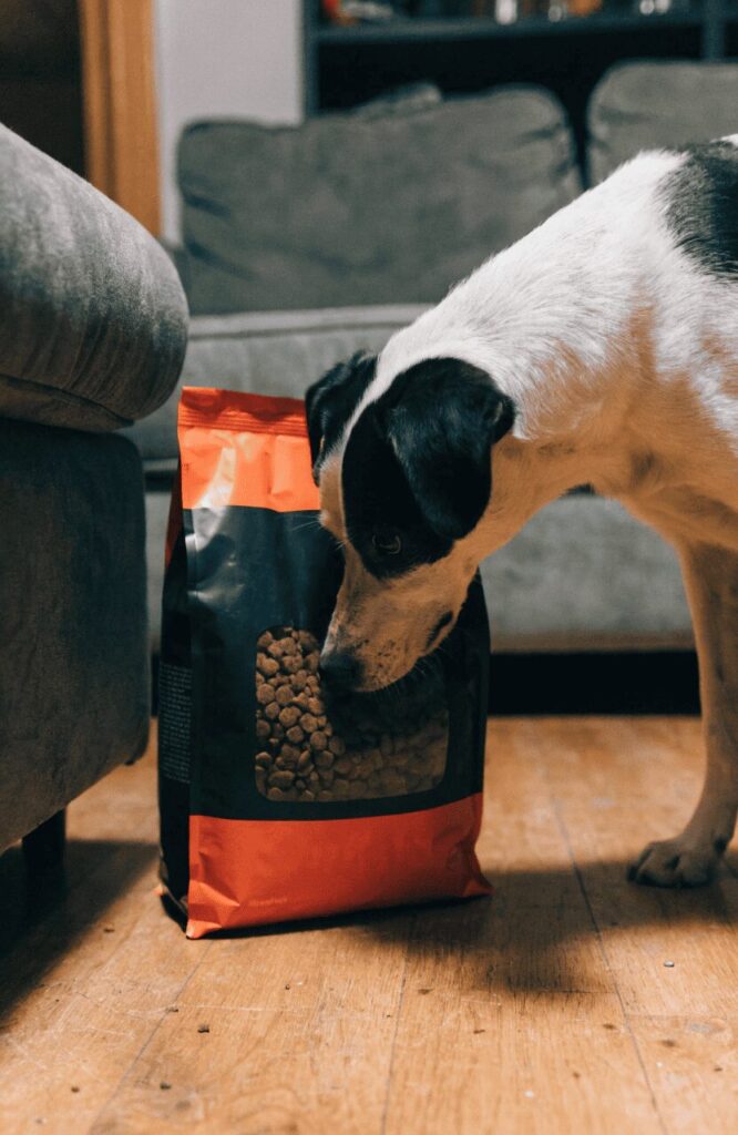dog food packaging window cutout