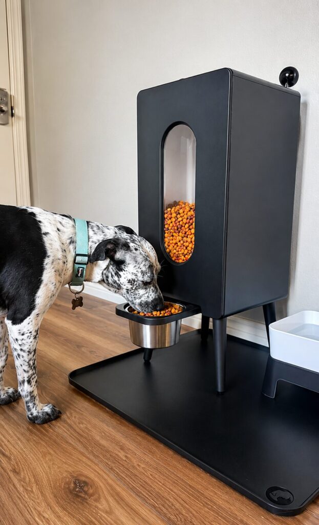 Elevated tower dog food storage idea with viewing window