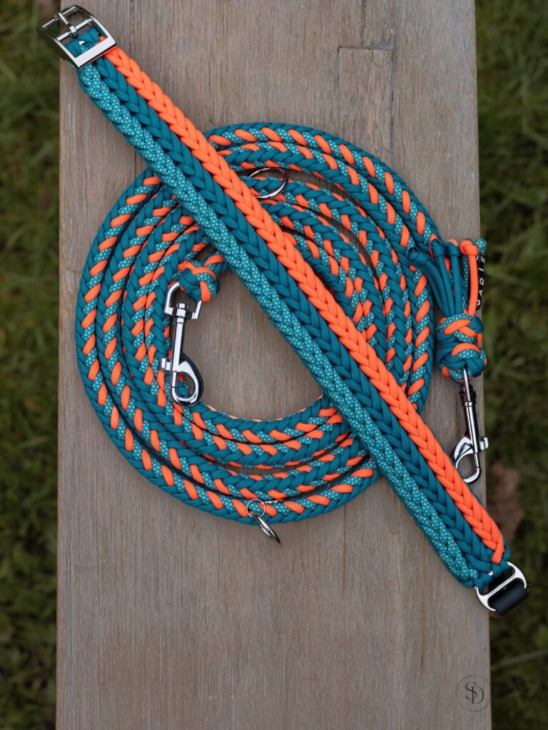 Fishtail braid leash with personalized name beads