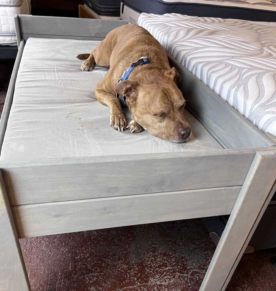 Commercial flush mattress extender dog bed attached to bed frame
