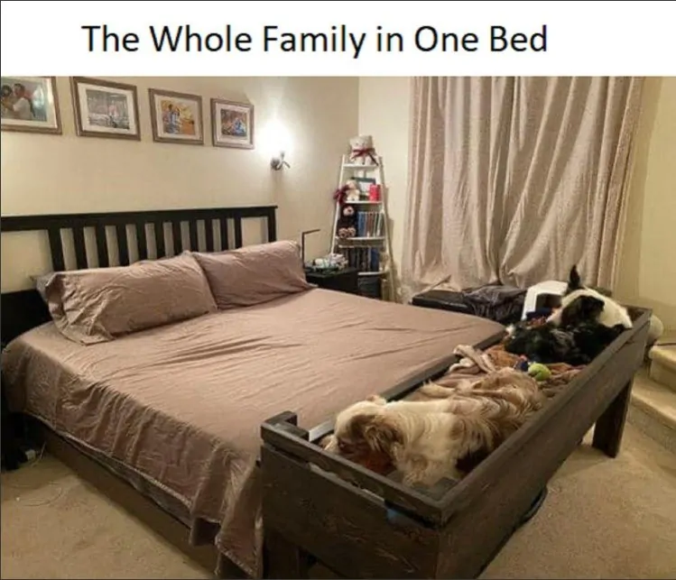 Foot of bed wood bed extension for dogs holding multiple pets