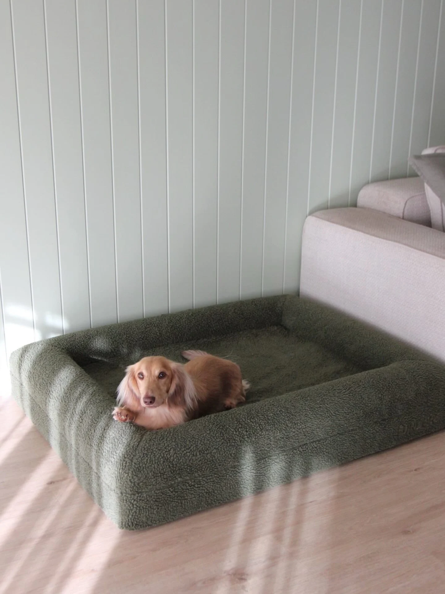 Rectangular sofa style bolster dog bed sewing pattern