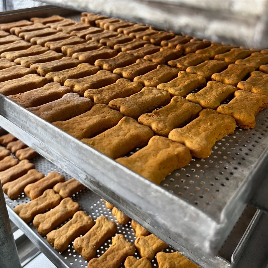 Hypoallergenic dehydrated dog treats homemade oven baked bites