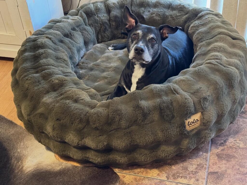 Ruched fur diy dog bed pattern with textured channel quilting