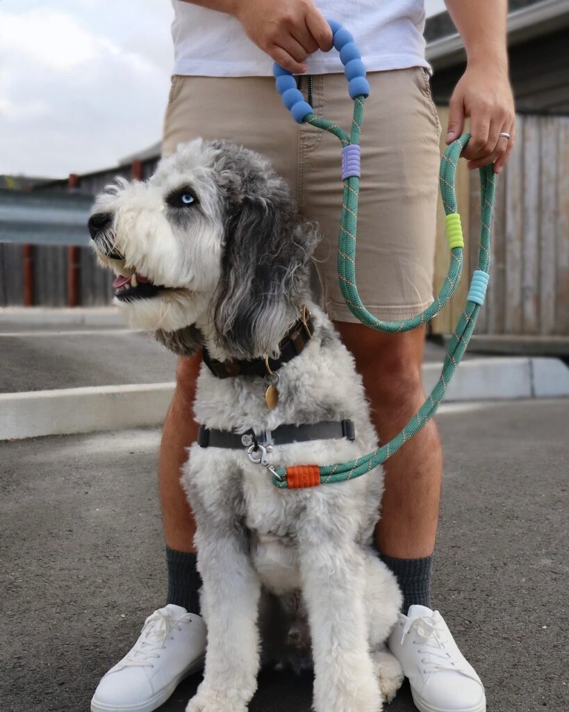 Paracord dog leash tutorials rope design with silicone bead grip