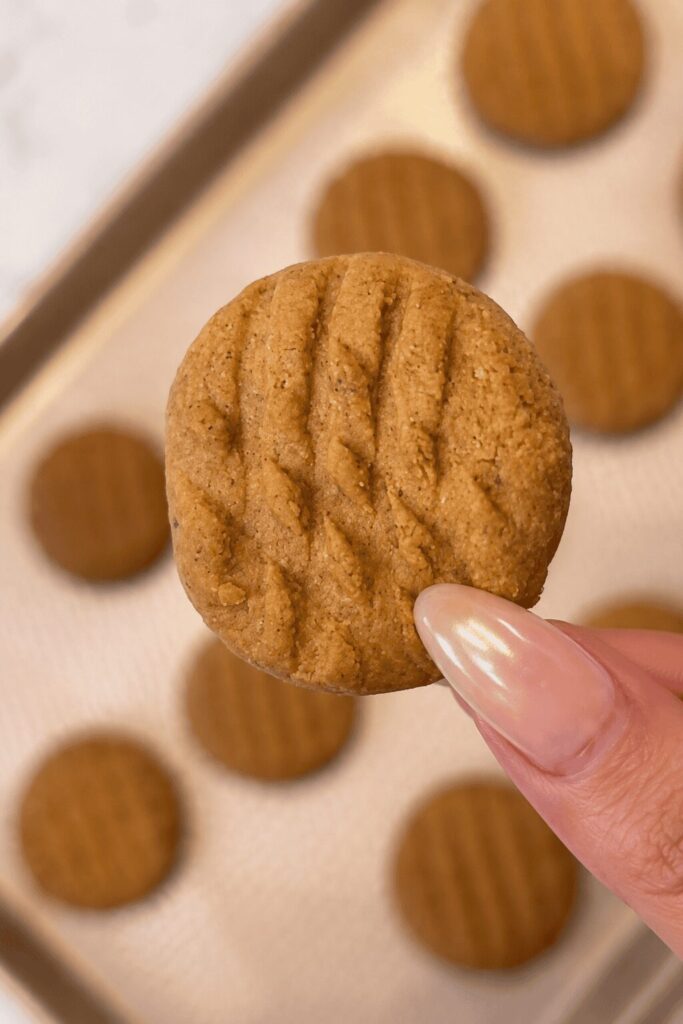 Easy 2-Ingredient Dog Treats peanut butter oat flour cookie with crosshatch pattern