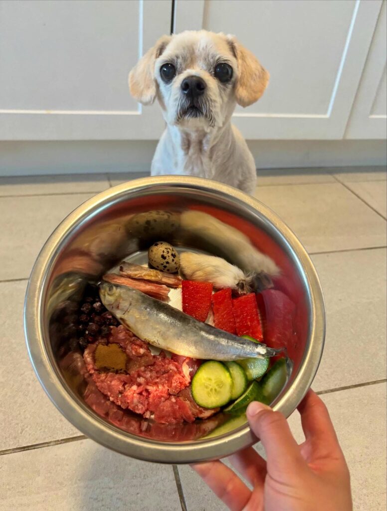 Raw dog food recipe idea with rabbit, duck, and whole sardine