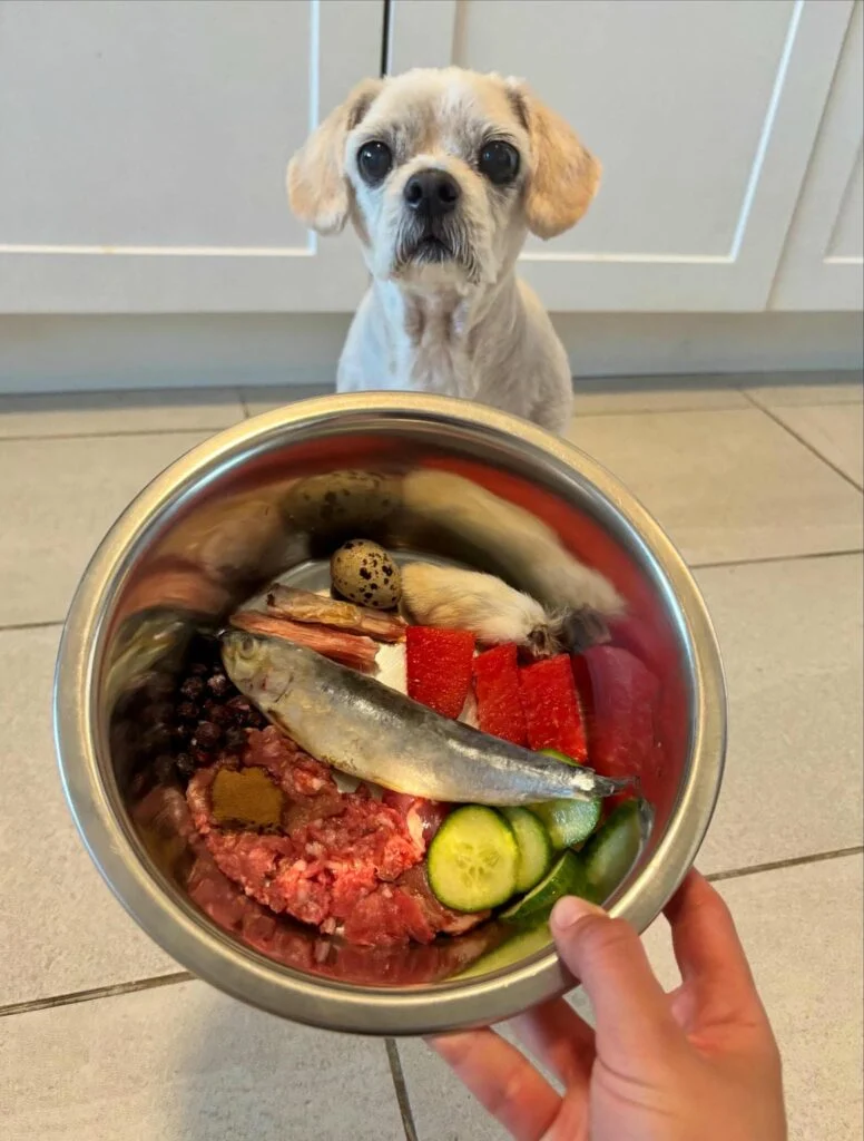Raw dog food recipe idea with rabbit, duck, and whole sardine