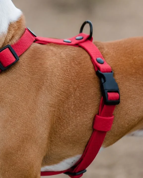 Close up of red padded chest panel on handmade dog harness