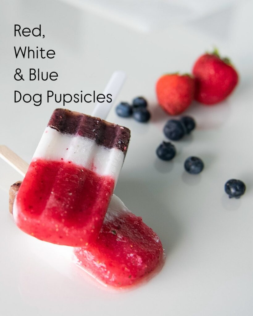Red, white and blue layered dog popsicle made with strawberry, coconut milk and blueberry