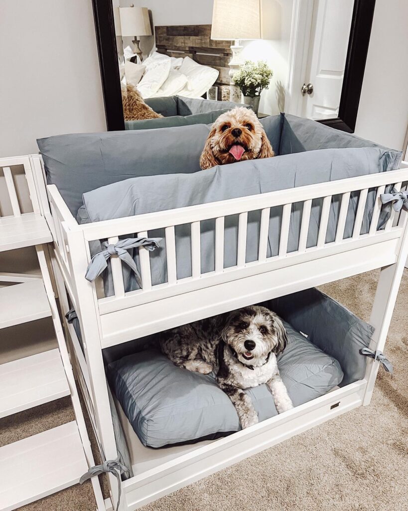 Repurposed crib turned into a raised bunk dog bed for two dogs