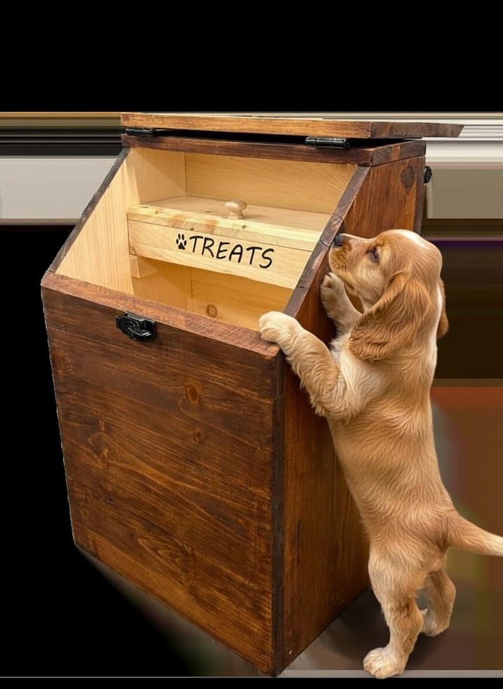 Rustic wooden treat chest dog food storage idea