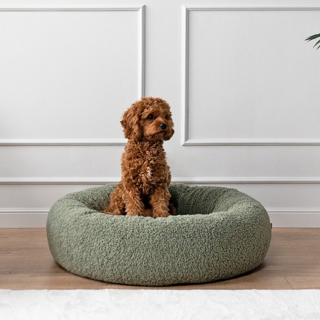 Sage boucle teddy fabric dog bed sewing pattern idea