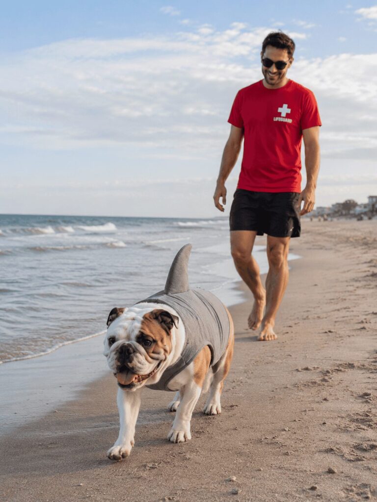 Shark costume candid photo dog beach