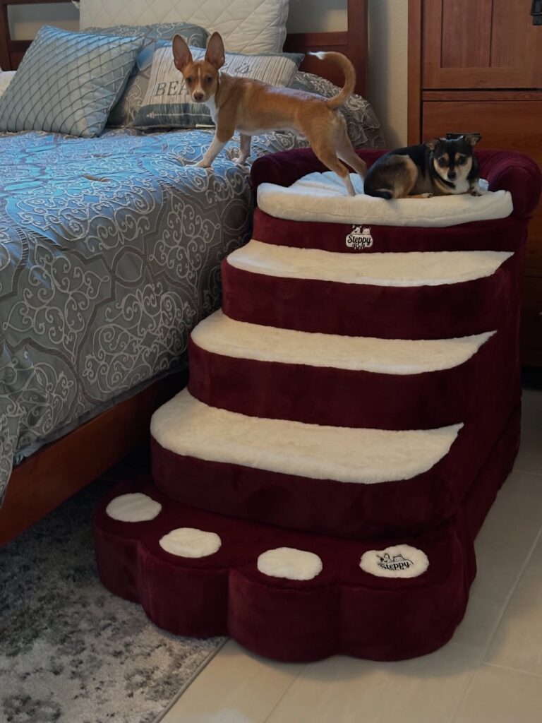 Stairs and bed combo bed extension idea for senior and small dogs
