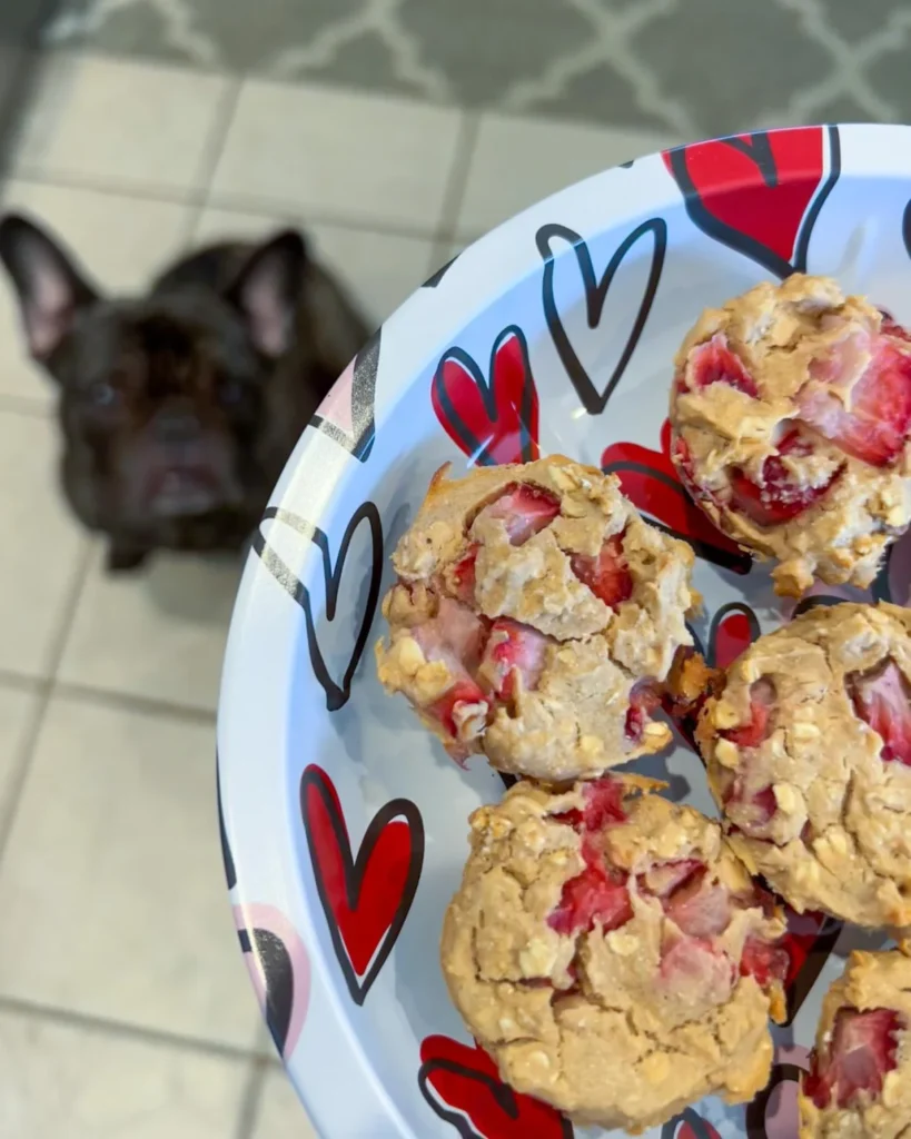 French bulldog near baked strawberry oat dog treats on plate