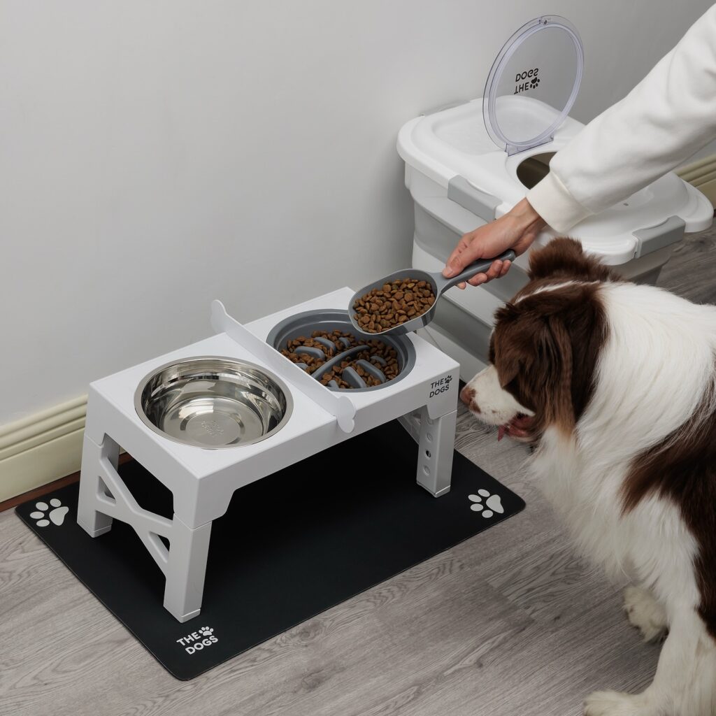 Adjustable dog bowl stand system with slow feeder and mat