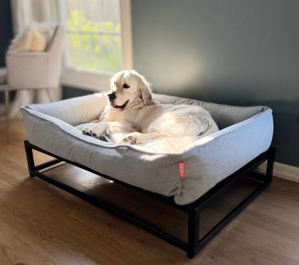 Upholstered raised dog bed lounger with bolster cushion on metal frame
