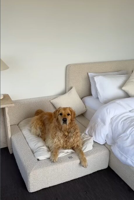 Upholstered boucle ottoman style bed extension for dogs at foot of bed