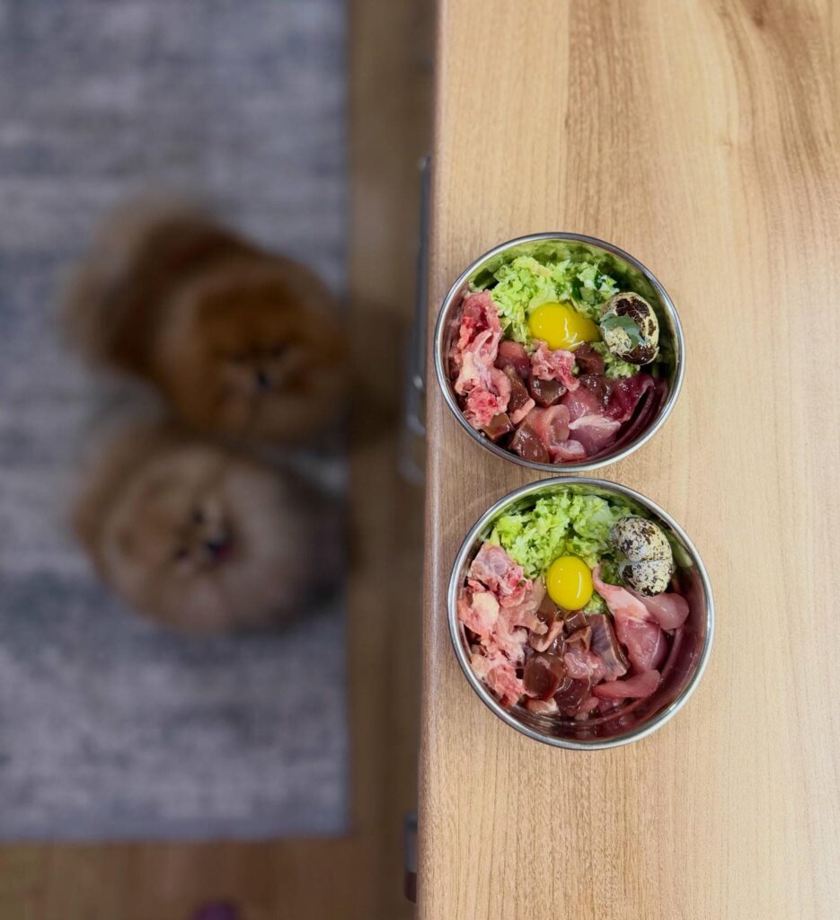 Homemade raw dog food bowl with veal, organ meat, and quail egg