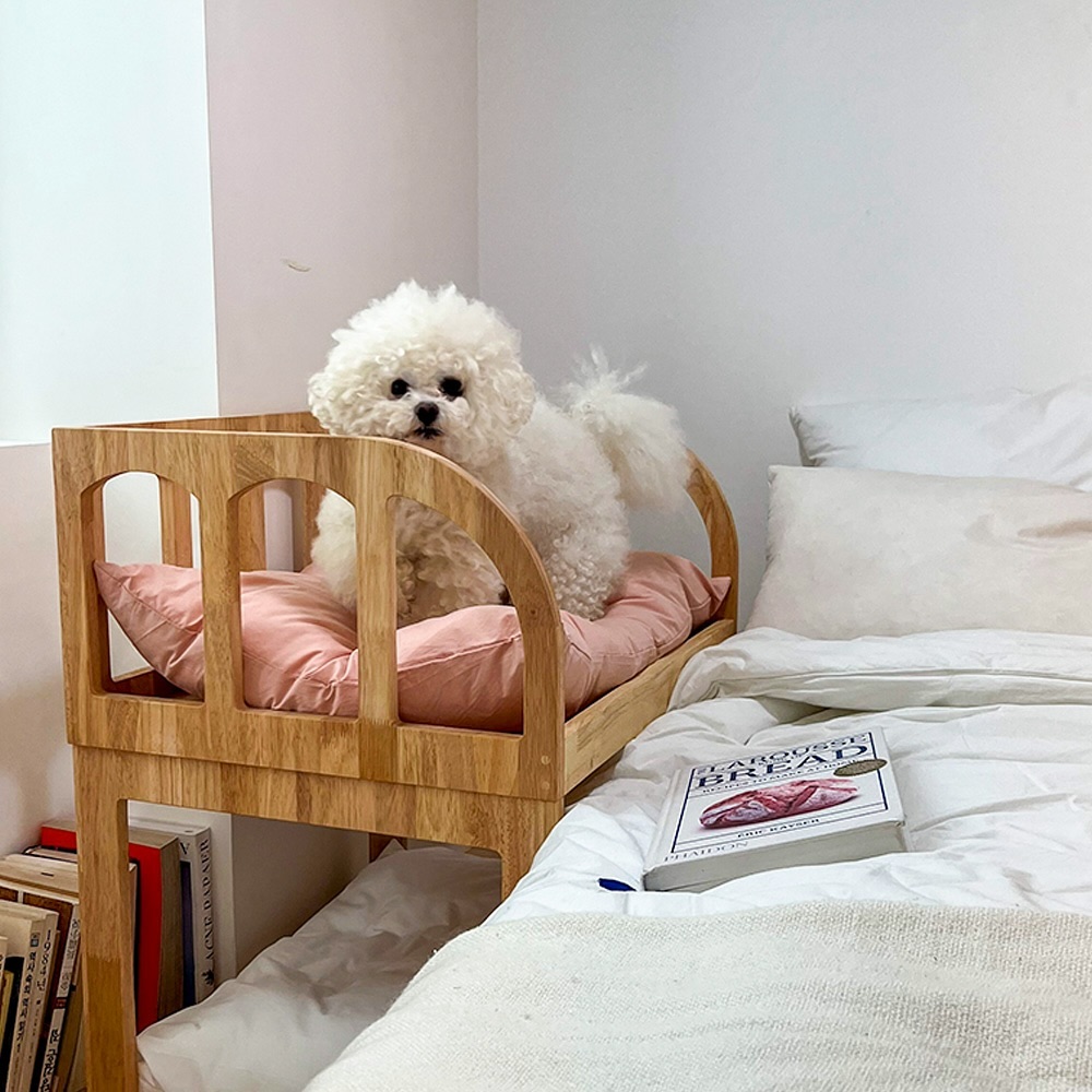 Bichon dog sitting on top tier of wooden bunk bed for dogs