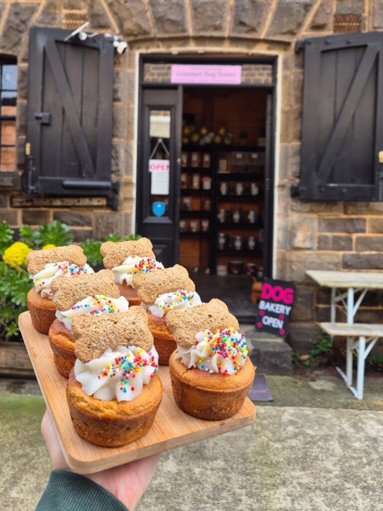Dog birthday cupcakes recipes with apple flavor and potato icing from local bakery