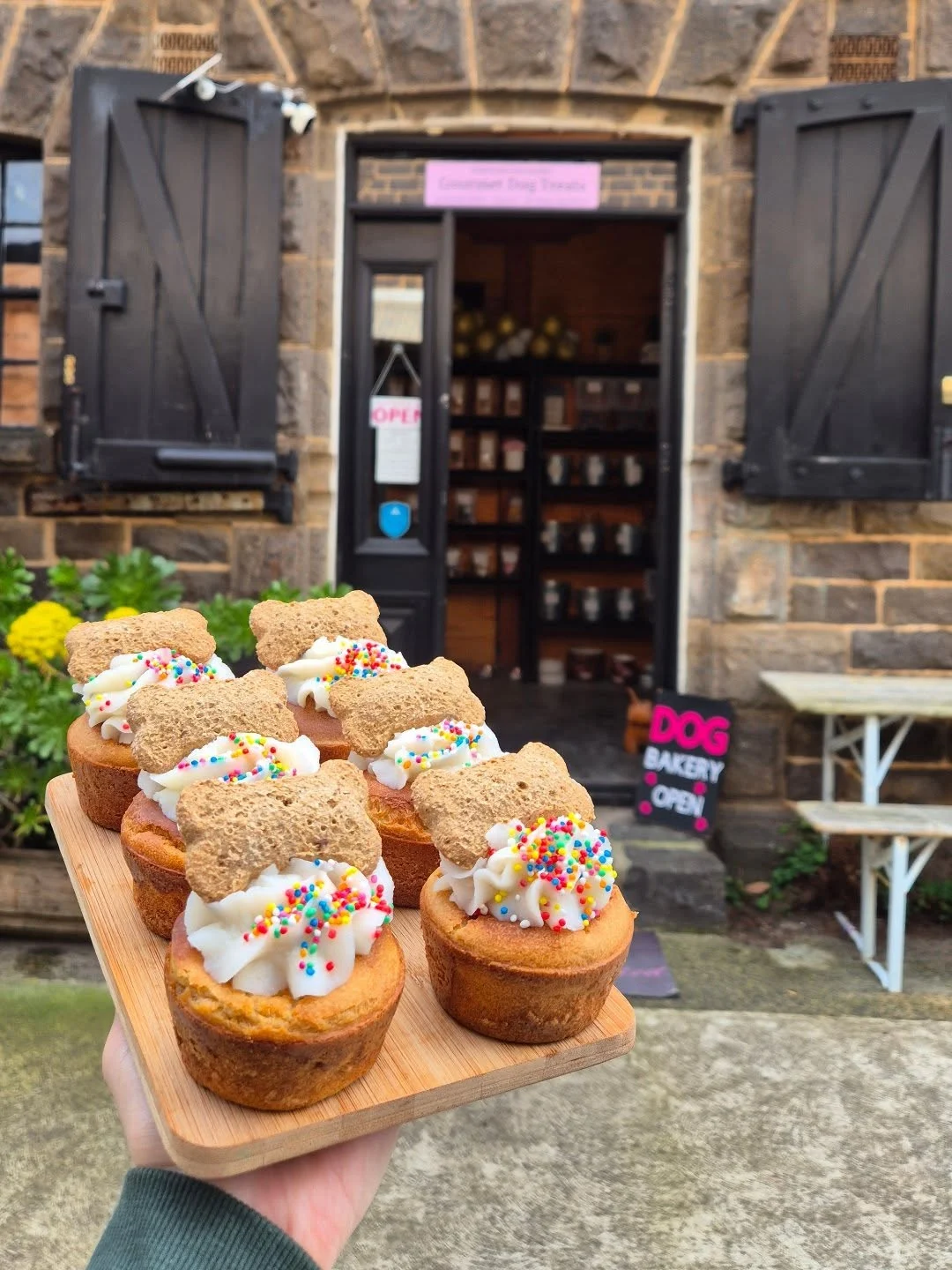 Dog birthday cupcakes recipes with apple flavor and potato icing from local bakery