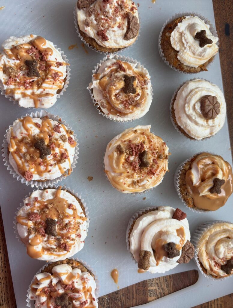 Homemade pupcake topped with dog biscuit and caramel drizzle