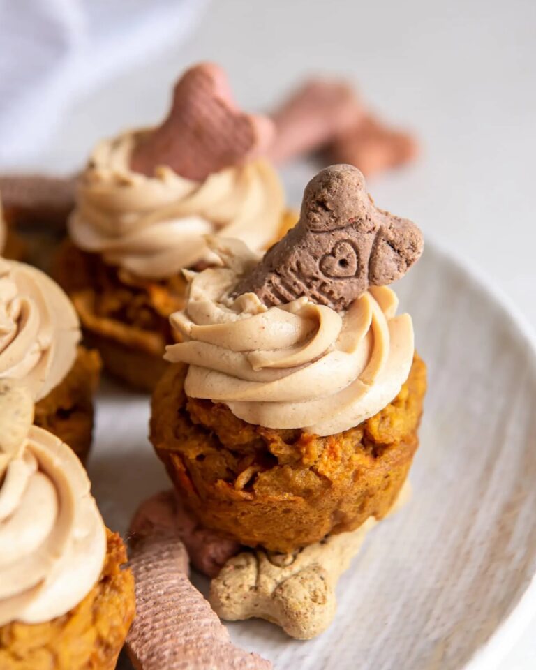 Carrot pumpkin pupcake with swirled peanut butter frosting and bone biscuit