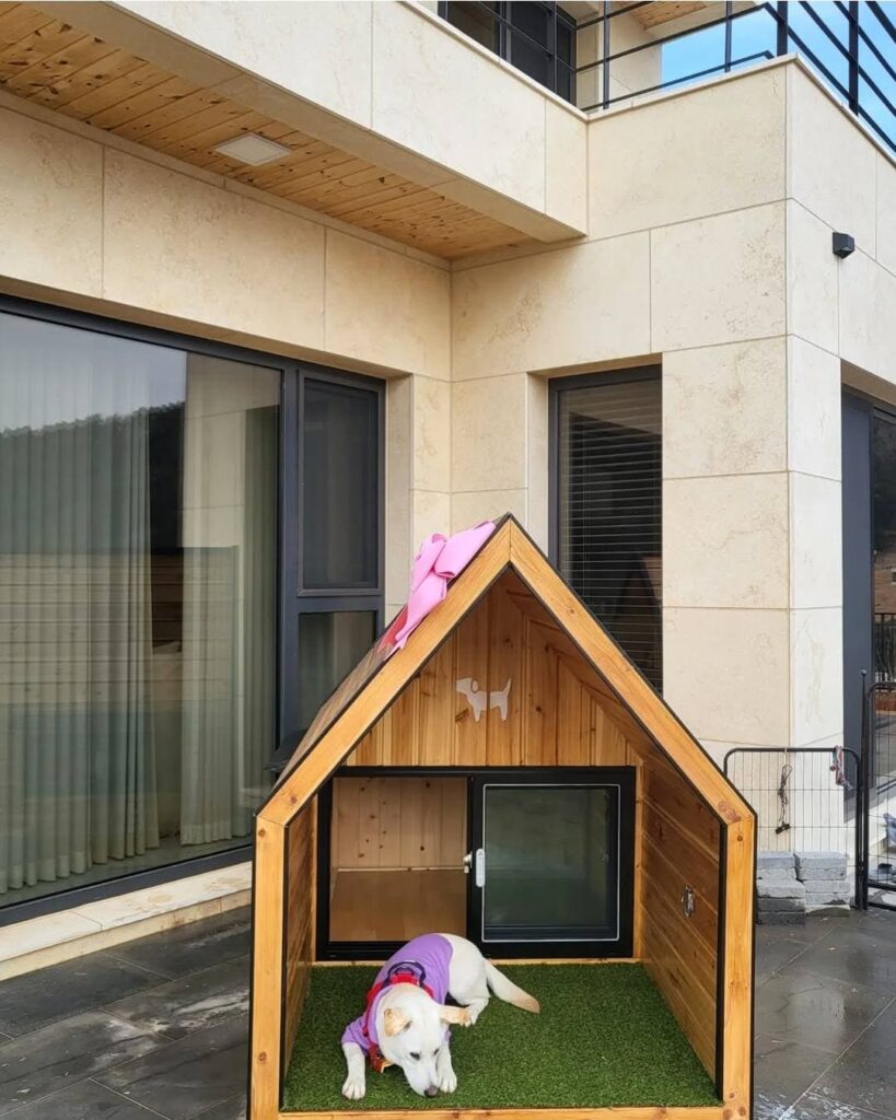 Wooden dog house exterior with cedar siding and turf interior