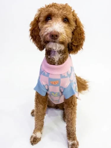 Checkerboard print pullover style for dogs