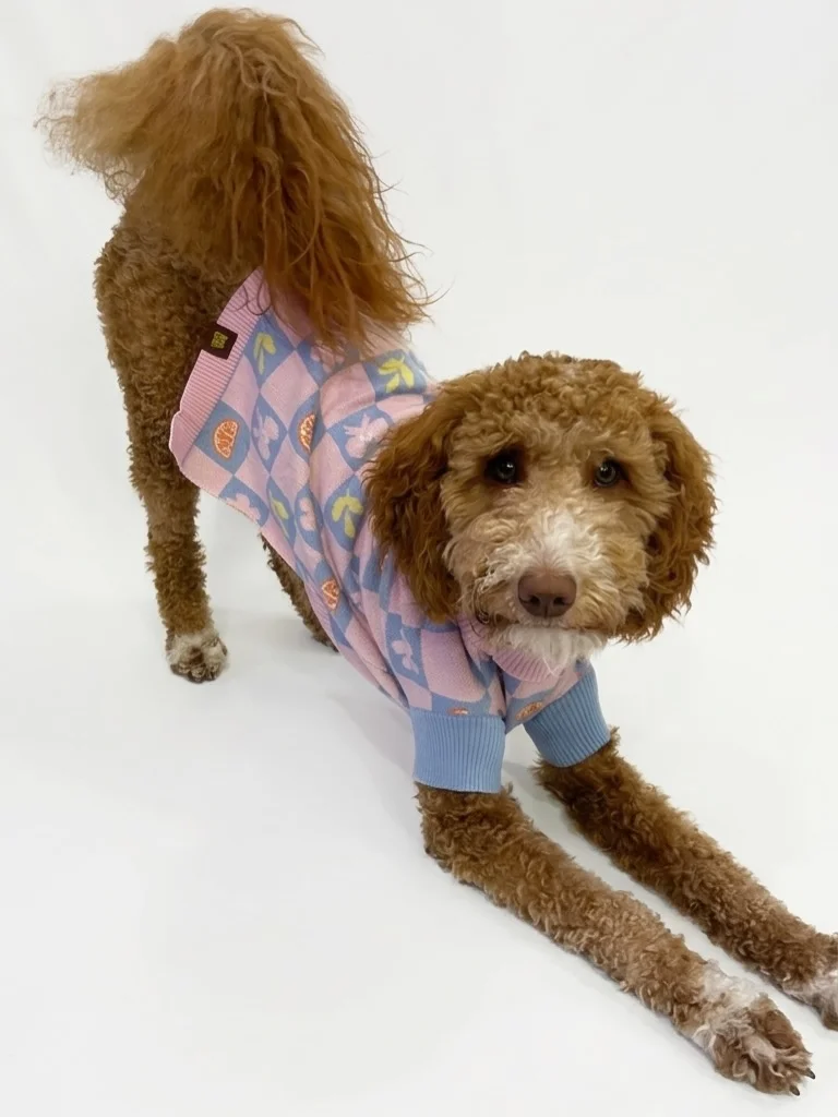 Pink and blue checkerboard fleece dog sweater