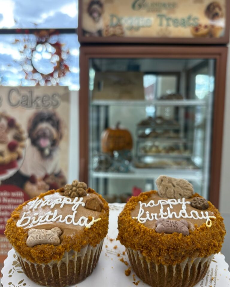 Dog birthday cupcakes ideas with pumpkin cake and golden biscuit crumble topping