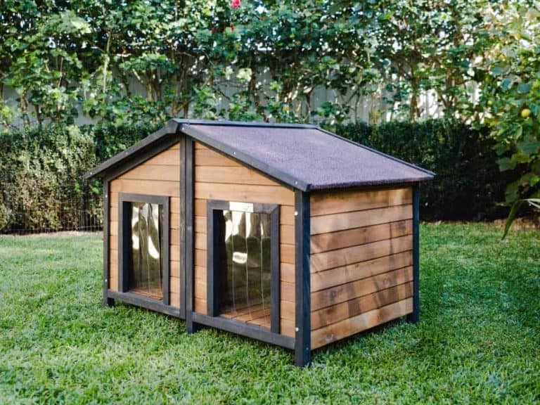 dual compartment pallet dog house two dogs