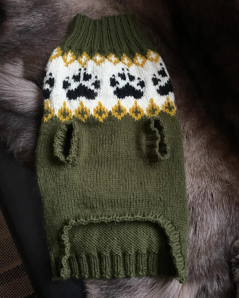 Fair Isle paw print pocket sweater for dogs