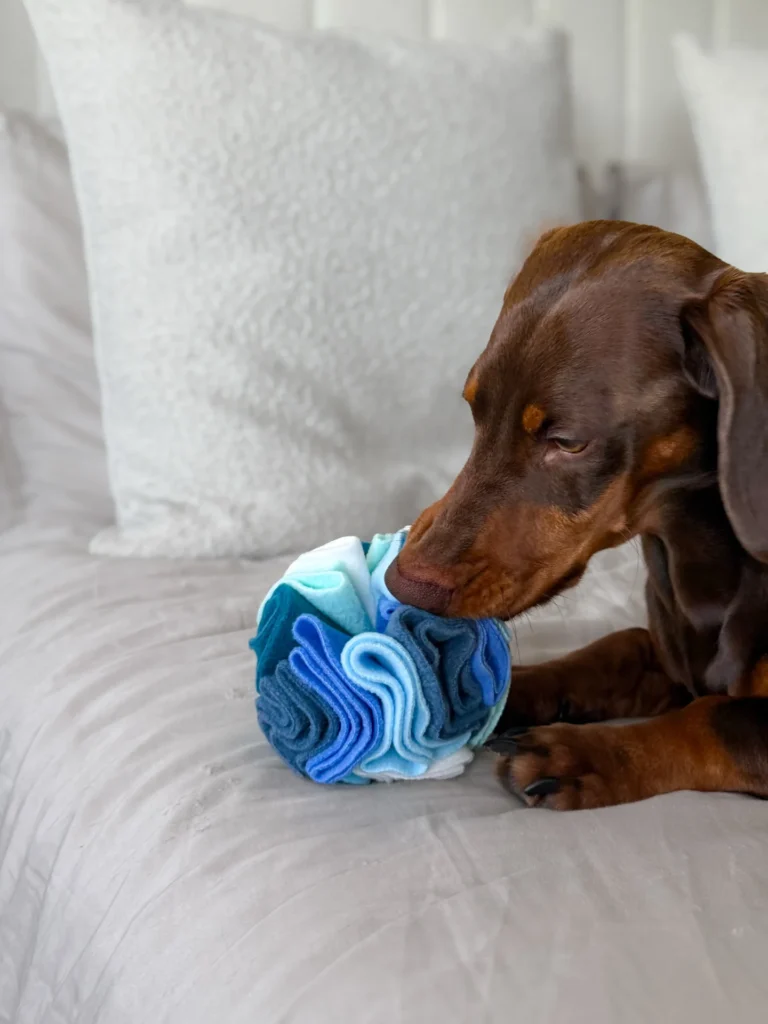 Felt flower snuffle ball diy dog toys ideas