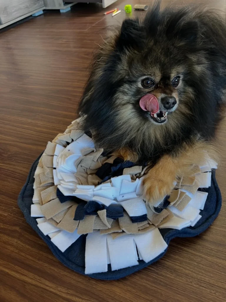 Flat fleece snuffle mat homemade dog toys ideas