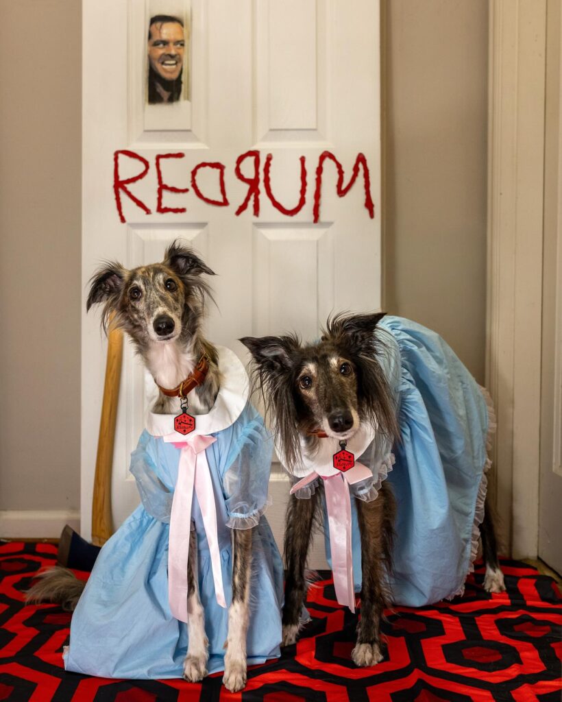 Two dogs in matching blue dresses dressed as The Shining twins, a spooky dog Halloween costumes for 2 dogs idea