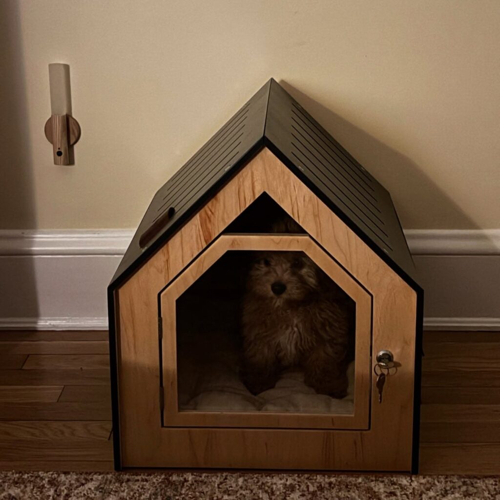 Compact wooden dog house with locking front door