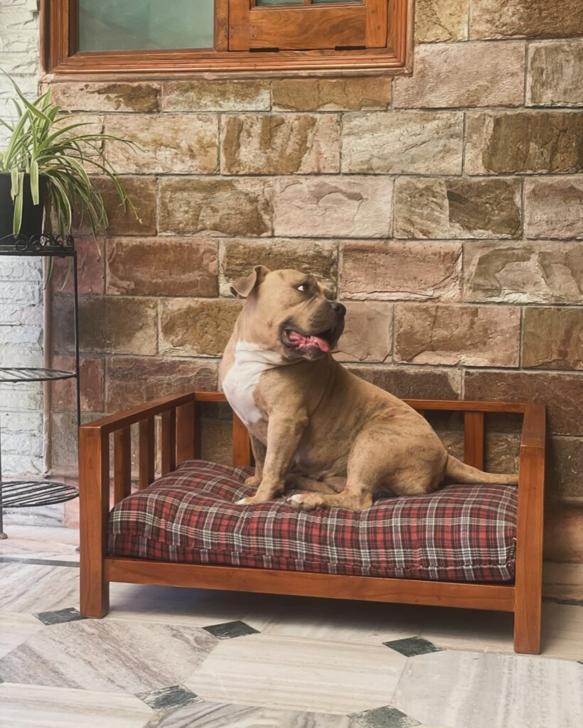 Classic mission style slatted wood dog bed with plaid cushion