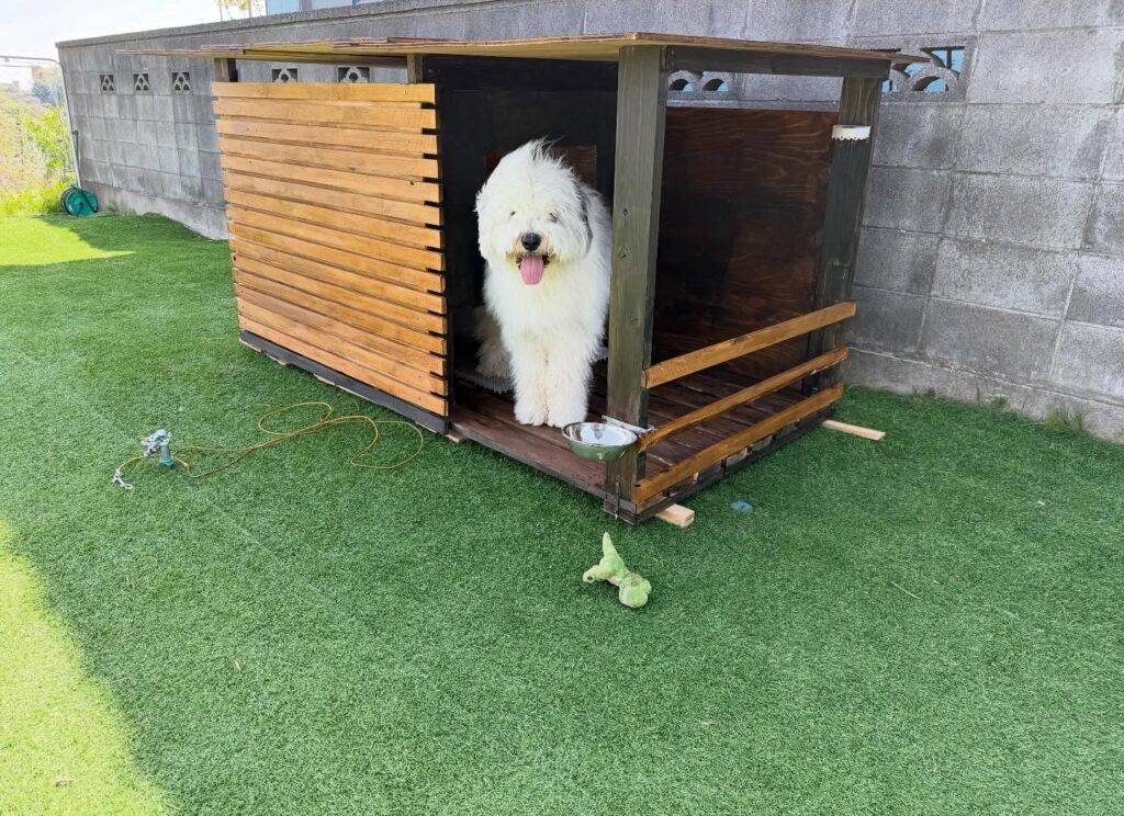 Modern wooden dog house idea with slat walls and covered porch