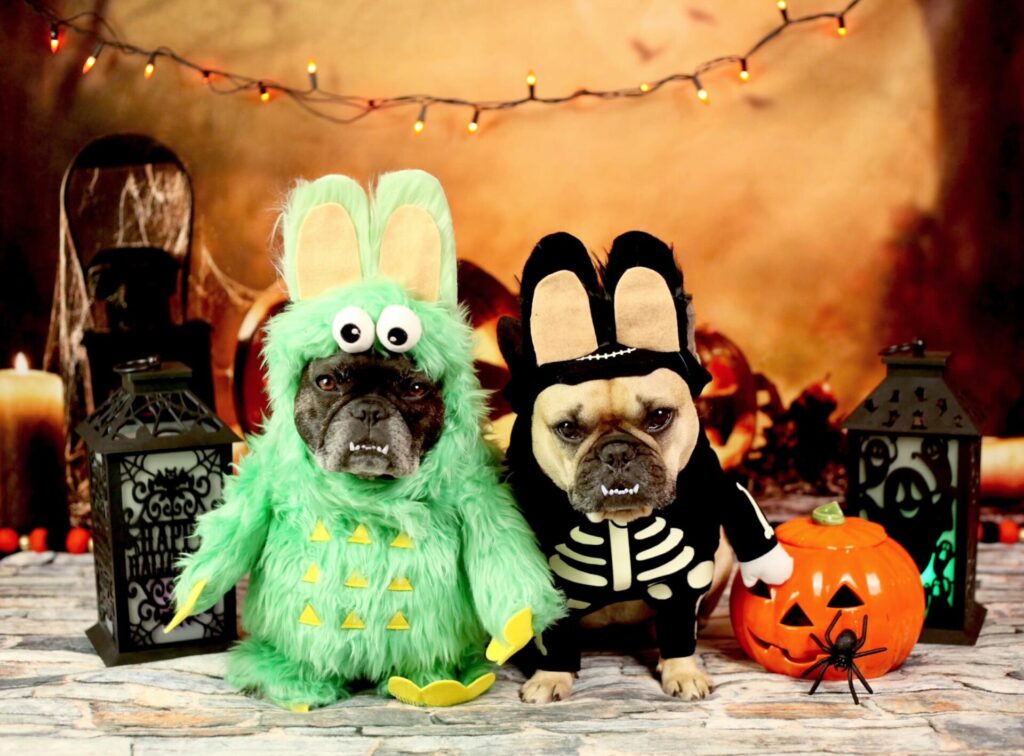 French bulldogs dressed as a green monster and a skeleton with bunny ears for Halloween