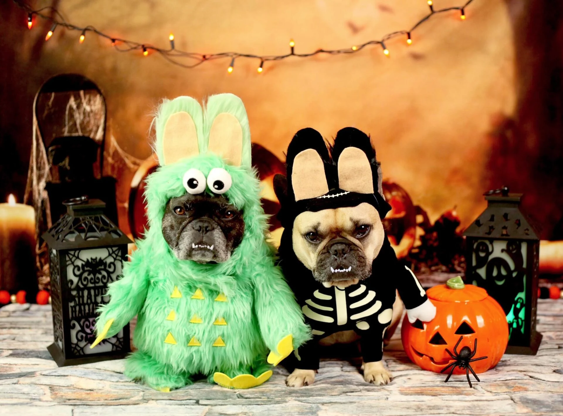 French bulldogs dressed as a green monster and a skeleton with bunny ears for Halloween