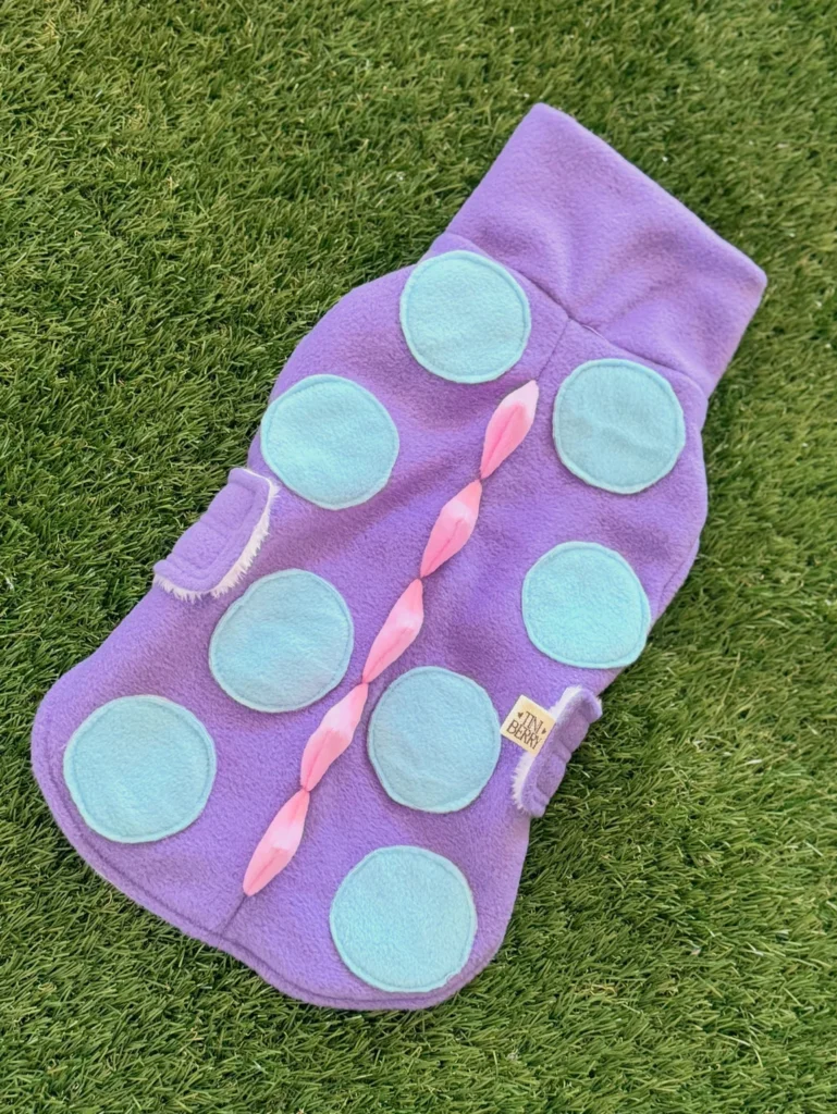 No-sew dino costume sweater flat lay for dogs